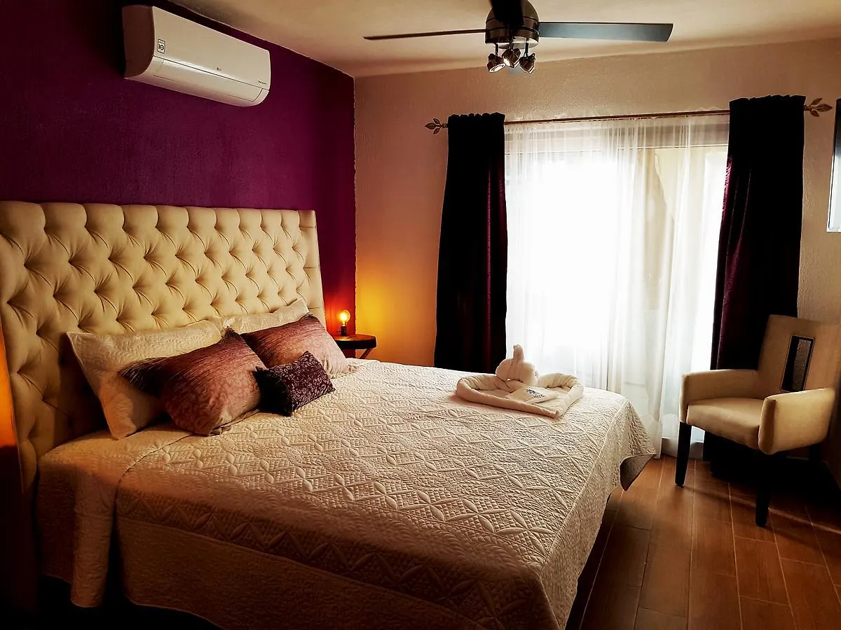 Bloom! Exclusive Boutique B&B (Adults Only) Playa del Carmen 3*,