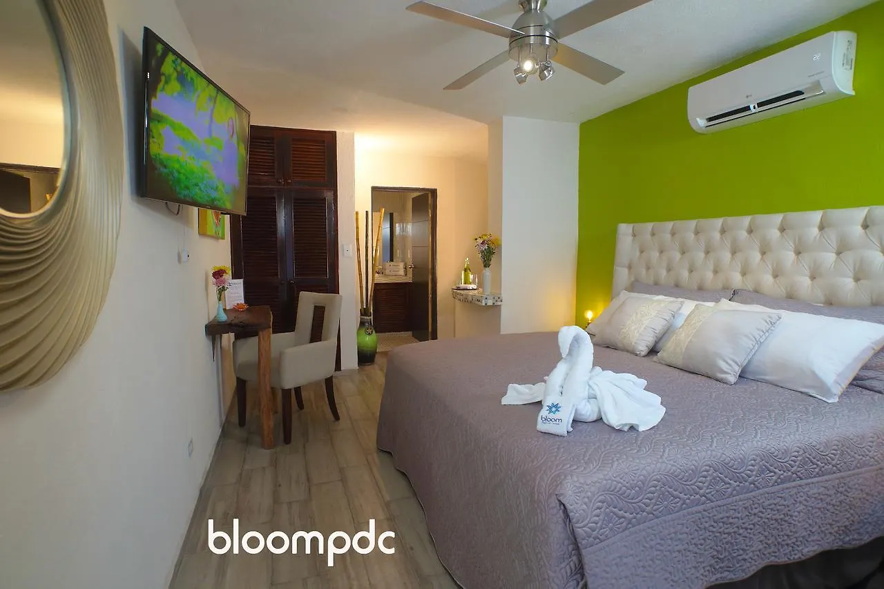 Bloom! Exclusive Boutique B&B (Adults Only) Playa del Carmen 3*,