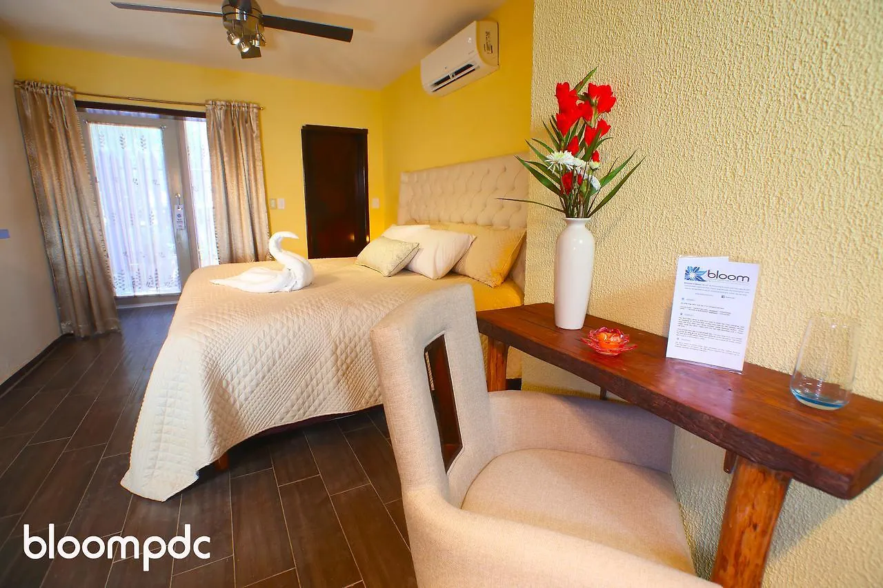 *** Hotel Bloom! Exclusive Boutique B&B (Adults Only) Playa del Carmen Mexico