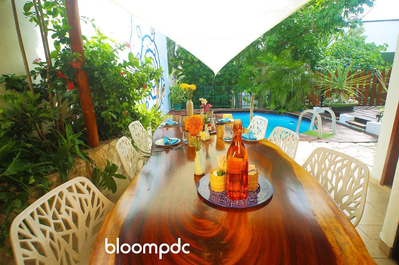Bloom! Exclusive Boutique B&B (Adults Only) Playa del Carmen 3*,  Mexico