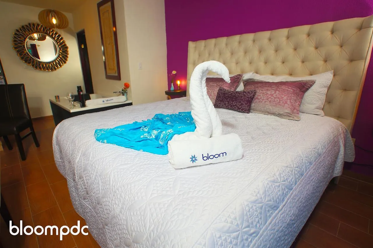Bloom! Exclusive Boutique B&B (Adults Only) Playa del Carmen Hotel